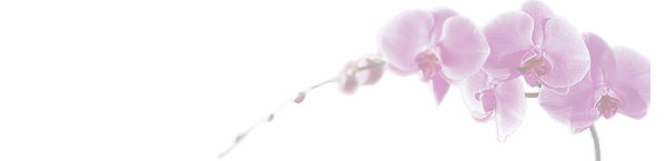 Orchids Logo